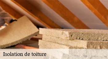 Isolation de toiture 08140