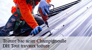 Toiture bac acier  08250