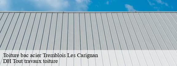 Toiture bac acier  08110