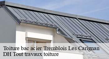 Toiture bac acier 08110