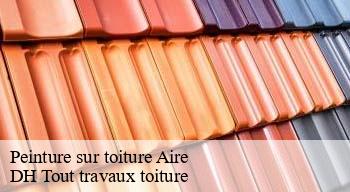 Peinture sur toiture  08190