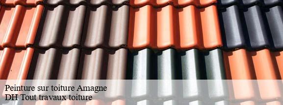 Peinture sur toiture  08300