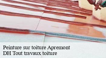 Peinture sur toiture  08250