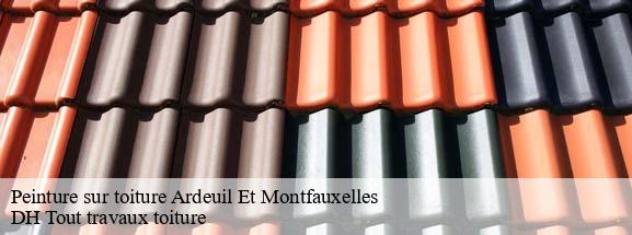 Peinture sur toiture  08400