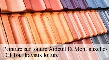 Peinture sur toiture  08400