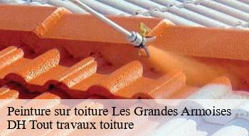 Peinture sur toiture 08390