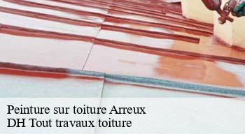 Peinture sur toiture  08090