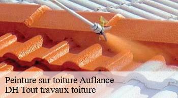 Peinture sur toiture  08370