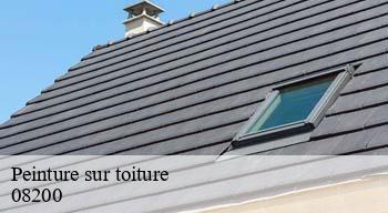 Peinture sur toiture  08200