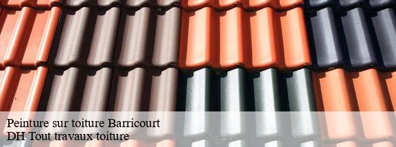 Peinture sur toiture  08240