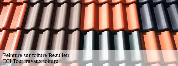 Peinture sur toiture 08380