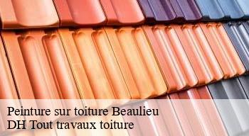 Peinture sur toiture 08380