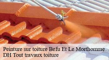 Peinture sur toiture 08250