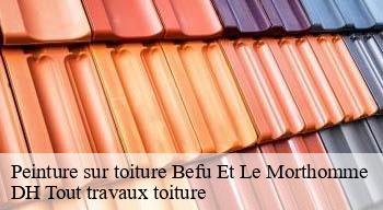 Peinture sur toiture  08250