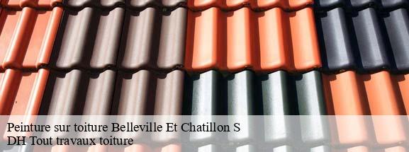 Peinture sur toiture  08240