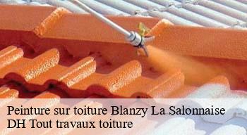 Peinture sur toiture 08190