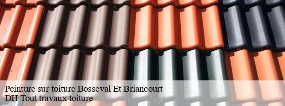 Peinture sur toiture 08350