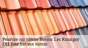 Peinture sur toiture  08290