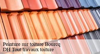 Peinture sur toiture  08400