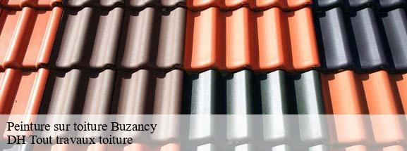 Peinture sur toiture  08240