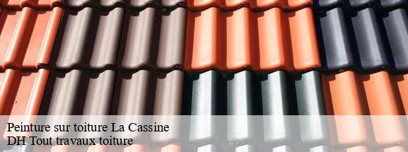 Peinture sur toiture  08160