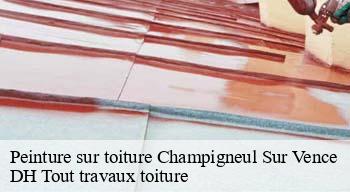 Peinture sur toiture  08430