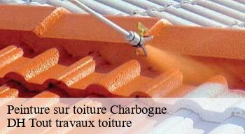 Peinture sur toiture 08130