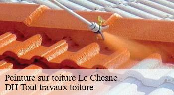 Peinture sur toiture 08390