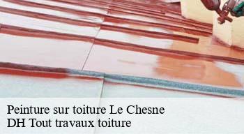 Peinture sur toiture  08390