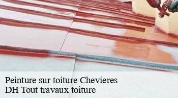 Peinture sur toiture 08250