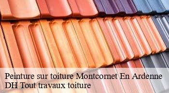 Peinture sur toiture 08090