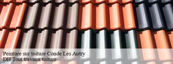 Peinture sur toiture  08250