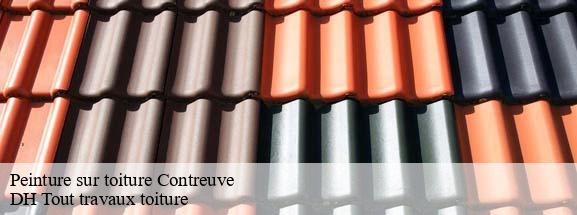 Peinture sur toiture  08400