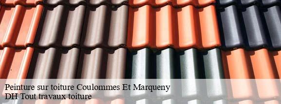 Peinture sur toiture  08130