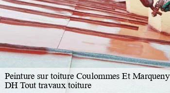 Peinture sur toiture  08130