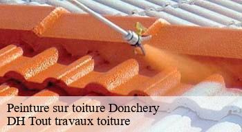 Peinture sur toiture 08350