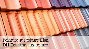 Peinture sur toiture 08160