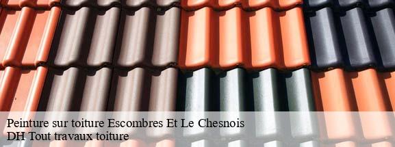 Peinture sur toiture  08110