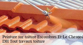 Peinture sur toiture  08110