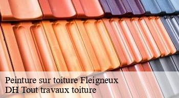 Peinture sur toiture  08200