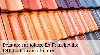 Peinture sur toiture  08000