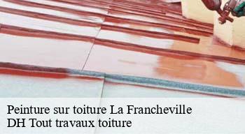 Peinture sur toiture  08000