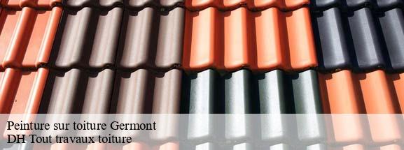 Peinture sur toiture  08240