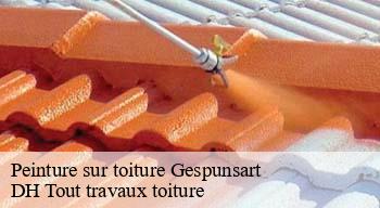 Peinture sur toiture 08700