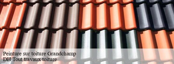 Peinture sur toiture  08270