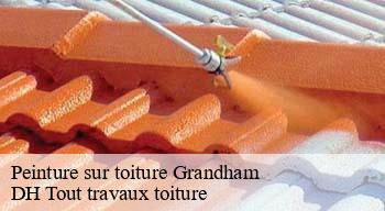 Peinture sur toiture 08250