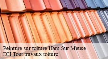 Peinture sur toiture  08600