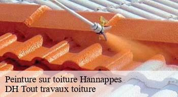 Peinture sur toiture  08290