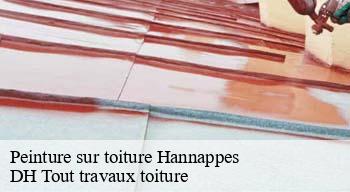 Peinture sur toiture  08290