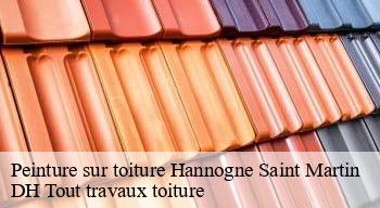 Peinture sur toiture  08160